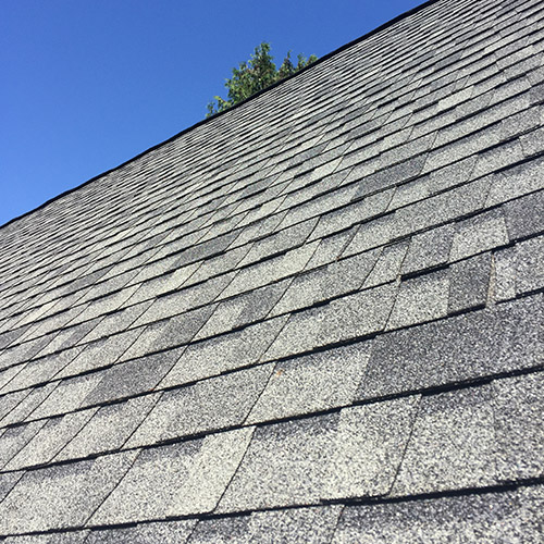 Soft Roof Cleaning 8