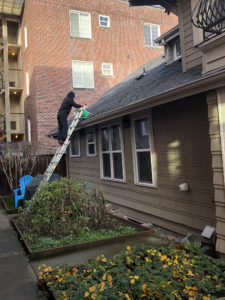 Worker on a ladder cleaning moss from the shingle roof of a residential building